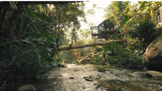 A rustic cabin with a glass enclosure, surrounded by dense forest and a flowing stream. - Wilderness Treehouse Above a Stunning Waterfall (Tambon Pa Miang)