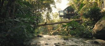 Wilderness Treehouse Above a Stunning Waterfall