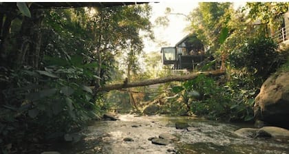 Wilderness Treehouse Above a Stunning Waterfall