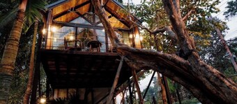 Enchanting Treehouse 5 Min Walk to Waterfall