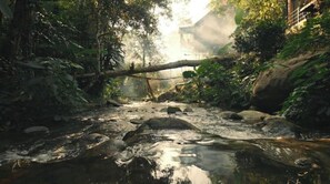 Terrein van de accommodatie