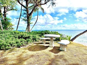 Property grounds - Beach Front Studio Condo with Secluded Beaches  (Hauula)