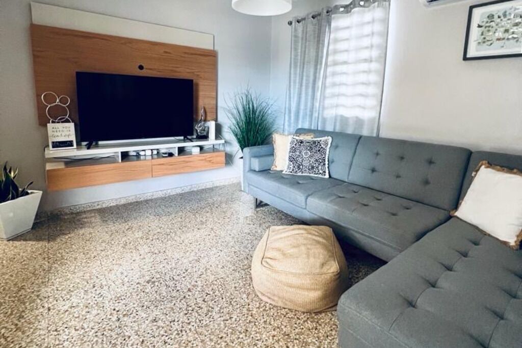 Un salon moderne avec un canapé gris, un téléviseur à écran plat fixé sur un mur en bois, une plante en pot et un tapis à motifs.