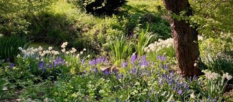 The Studio, Ivy Lodge Barn, Hoo