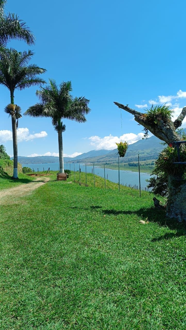 Un sendero cubierto de césped que lleva a un banco con vistas a un lago y montañas.