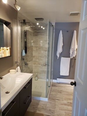 Shower, hair dryer, towels, soap