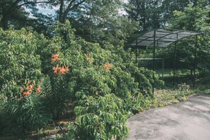 Property grounds - Manasquan Park Farm retreat near beach, amazing location with privacy & access (Manasquan)