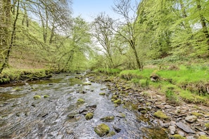 A river flowing through a forest with rocks and moss-covered stones in the water.