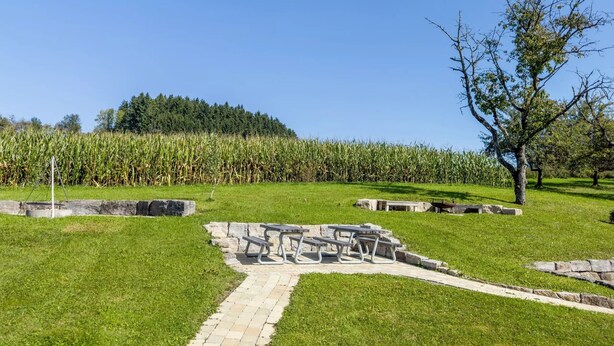 Une zone herbeuse avec un sentier de pierres menant à une table de pique-nique.