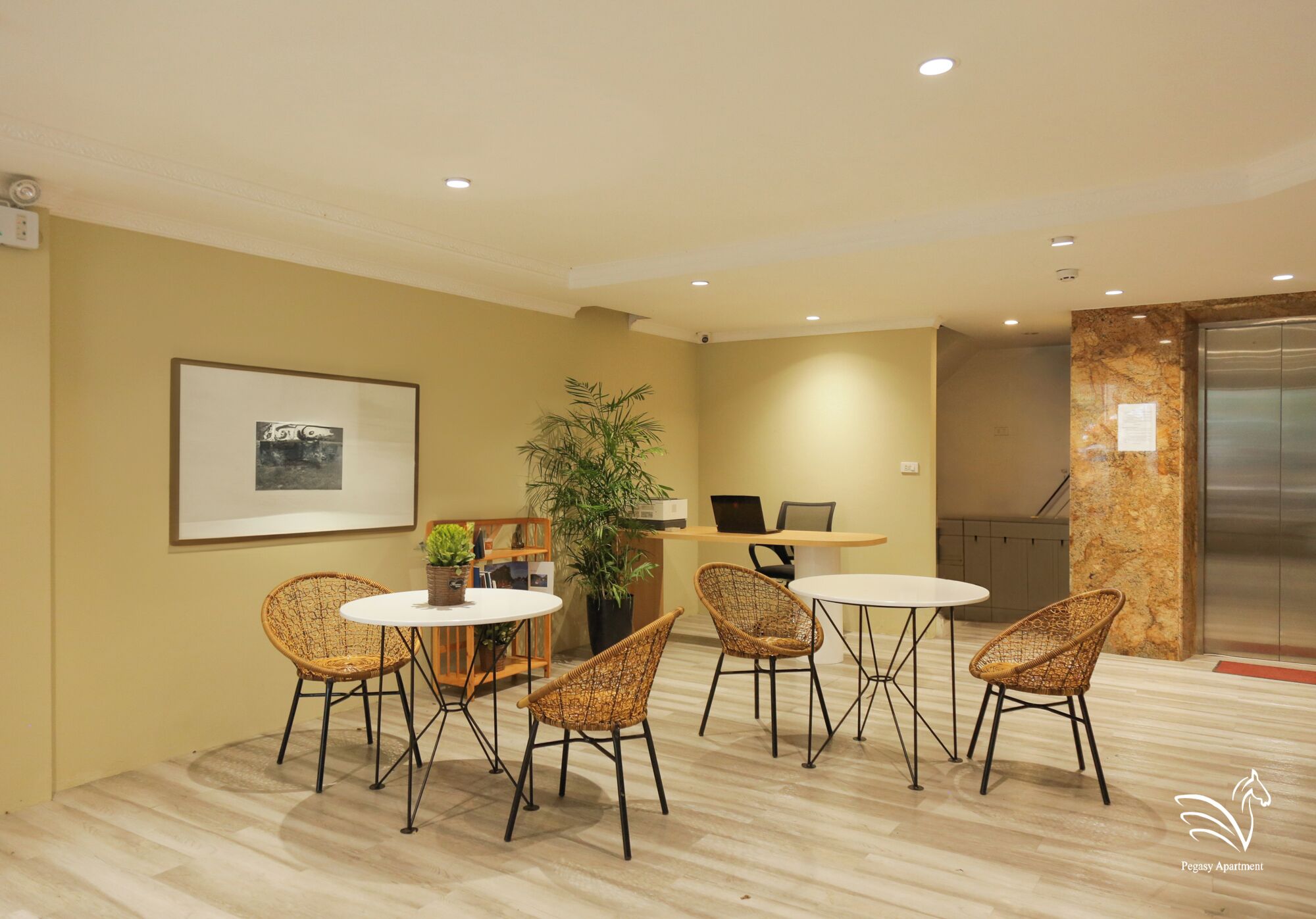 Foto - Pegasy Apartments & Travel