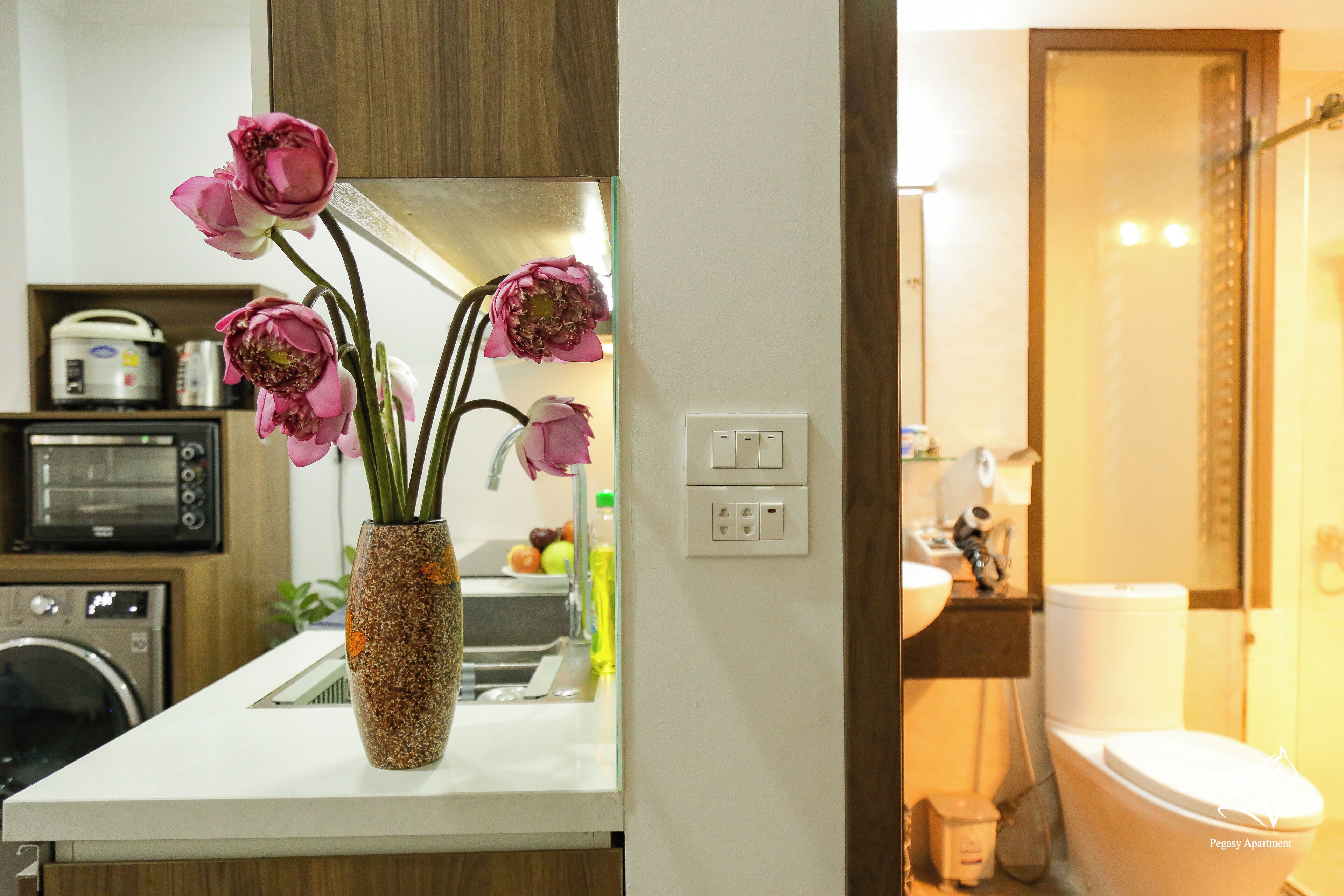 Foto - Pegasy Apartments & Travel