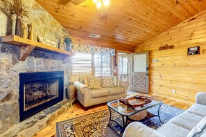 TV, fireplace, books