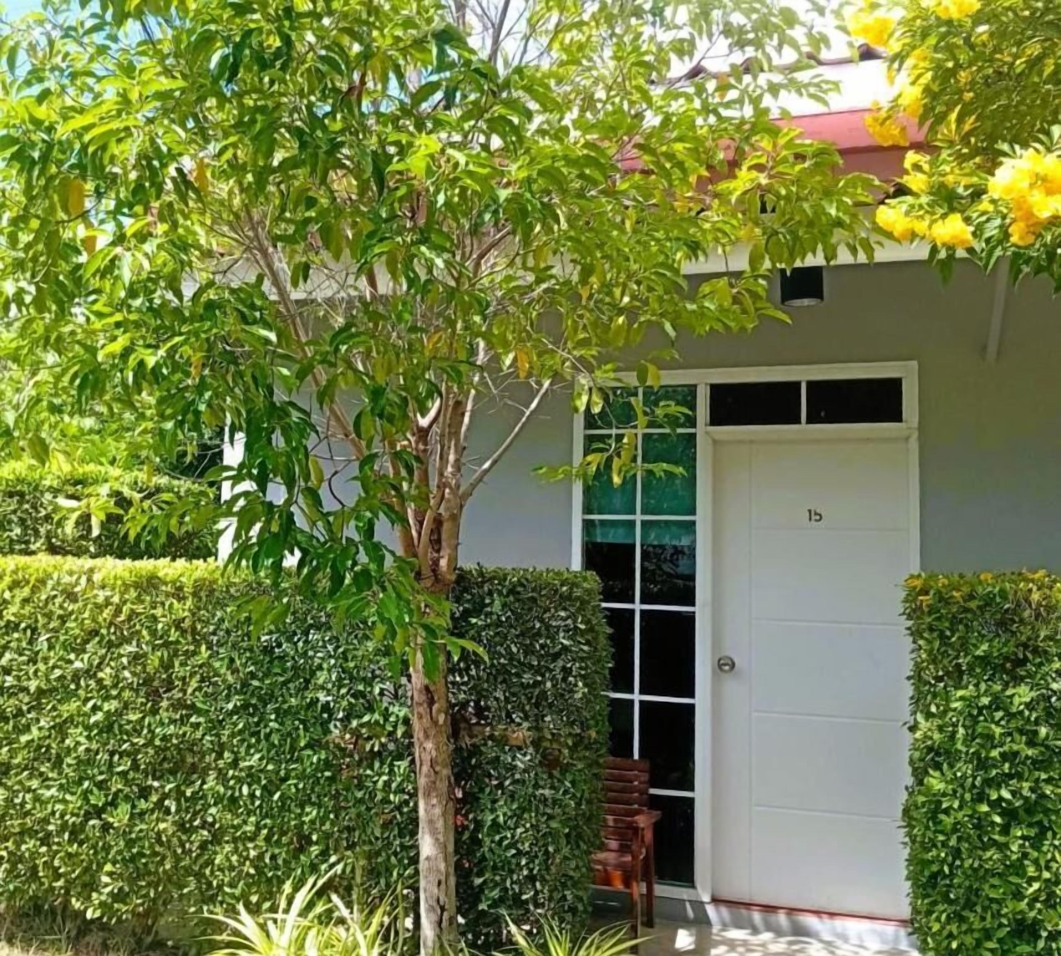 A building with a white door marked "15", a small porch with a chair, and a tree in front.