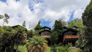 A modern house with a green roof, surrounded by lush greenery and trees. - Lakeview Cabin with Jacuzzi in Guatapé (Guatapé)