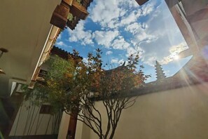 Puutarha