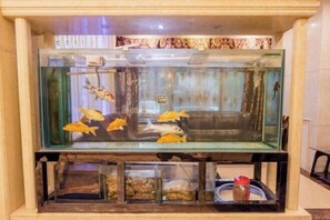 A fish tank with several goldfish and a decorative branch. Below the tank, there are two clear containers with what appears to be food or supplies. - Carlos Hotel (Kaiping Dongjiao Store) (Kaiping)