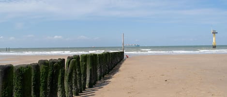 Playa en los alrededores