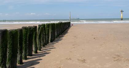 You couldn't be closer to the beach