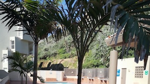 A courtyard with a swimming pool, palm trees, and a barbecue area. - 316 Cozumel (eMdloti)