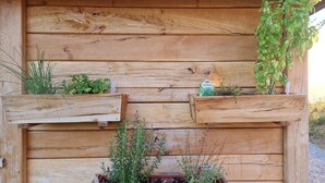 Eine Holzwand mit mehreren Pflanzgefäßen und verschiedenen Pflanzen.