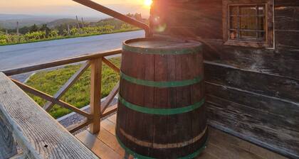 Vineyard cottage Vinska grajska kaĆĄÄa
