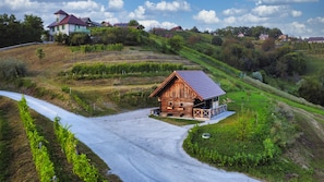 Exterior - Vineyard cottage Vinska grajska kašča (Trebnje)