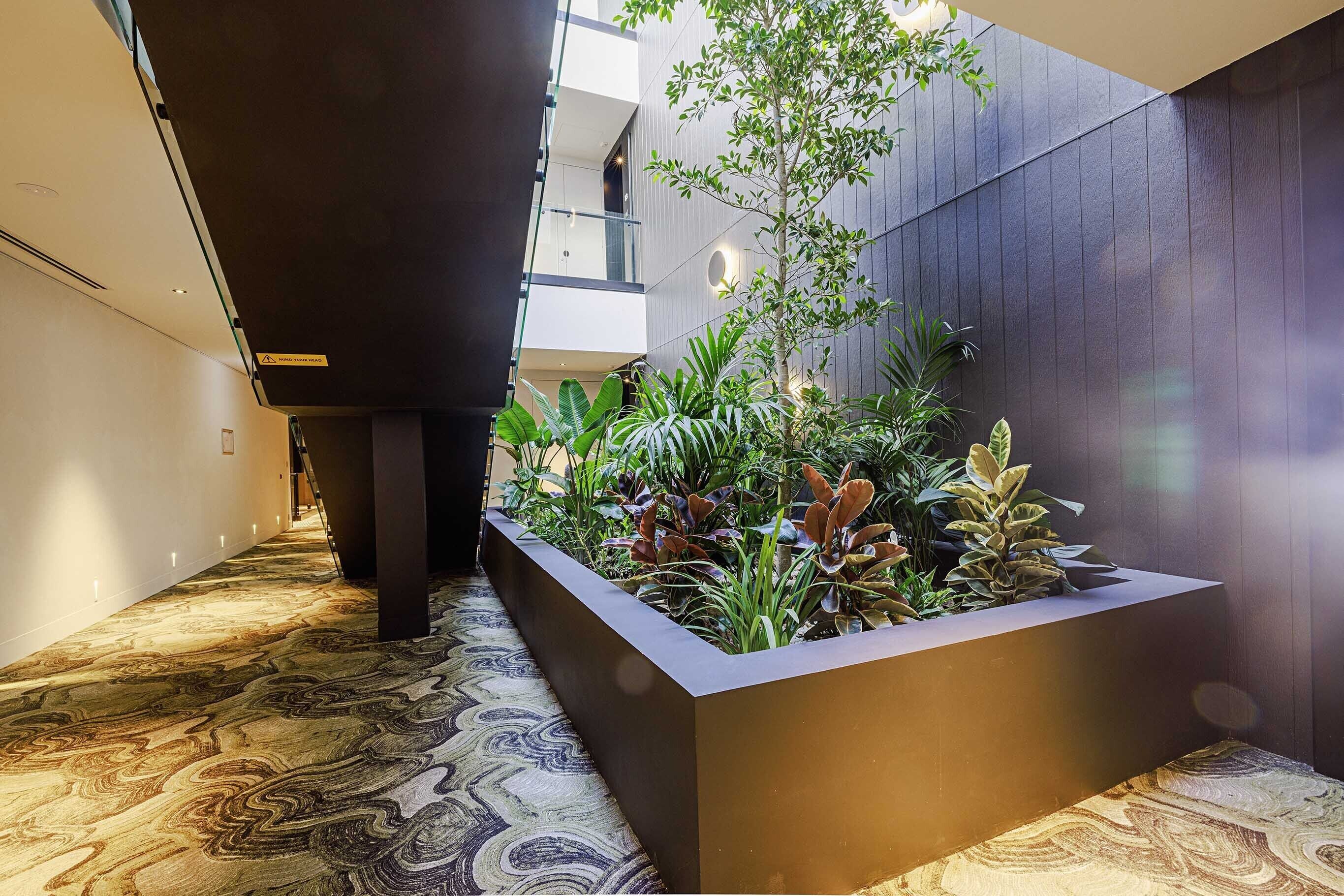 Un pasillo con una jardinera con varias plantas, una alfombra estampada y un letrero que dice 'CUIDADO CON LA CABEZA'.