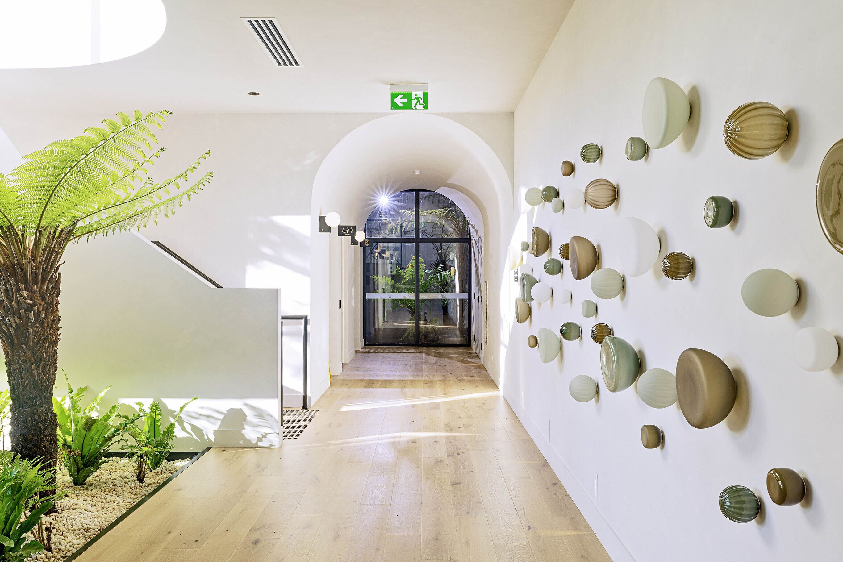 Un pasillo con una planta, una puerta de cristal que da al exterior y adornos en la pared.