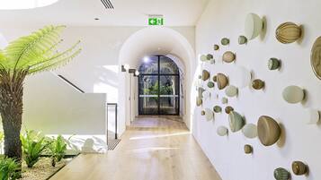 Un pasillo con una planta, una puerta de cristal que da al exterior y adornos en la pared.