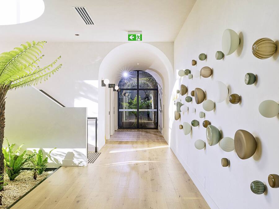 Un pasillo con una planta, una puerta de cristal que da al exterior y adornos en la pared.