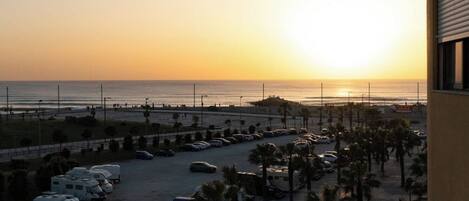 A parking area with vehicles and palm trees, overlooking a beach and ocean at sunset.