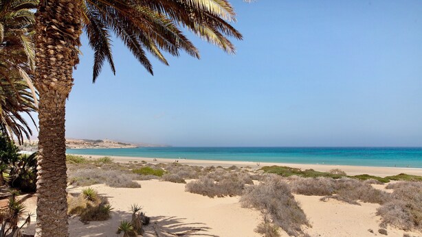 A beach with sand dunes, sparse vegetation, and a clear blue sky.