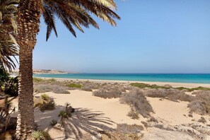 A beach with sand dunes, sparse vegetation, and a clear blue sky.