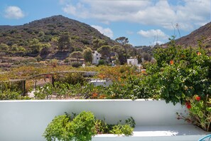 Terrain de l’hébergement 