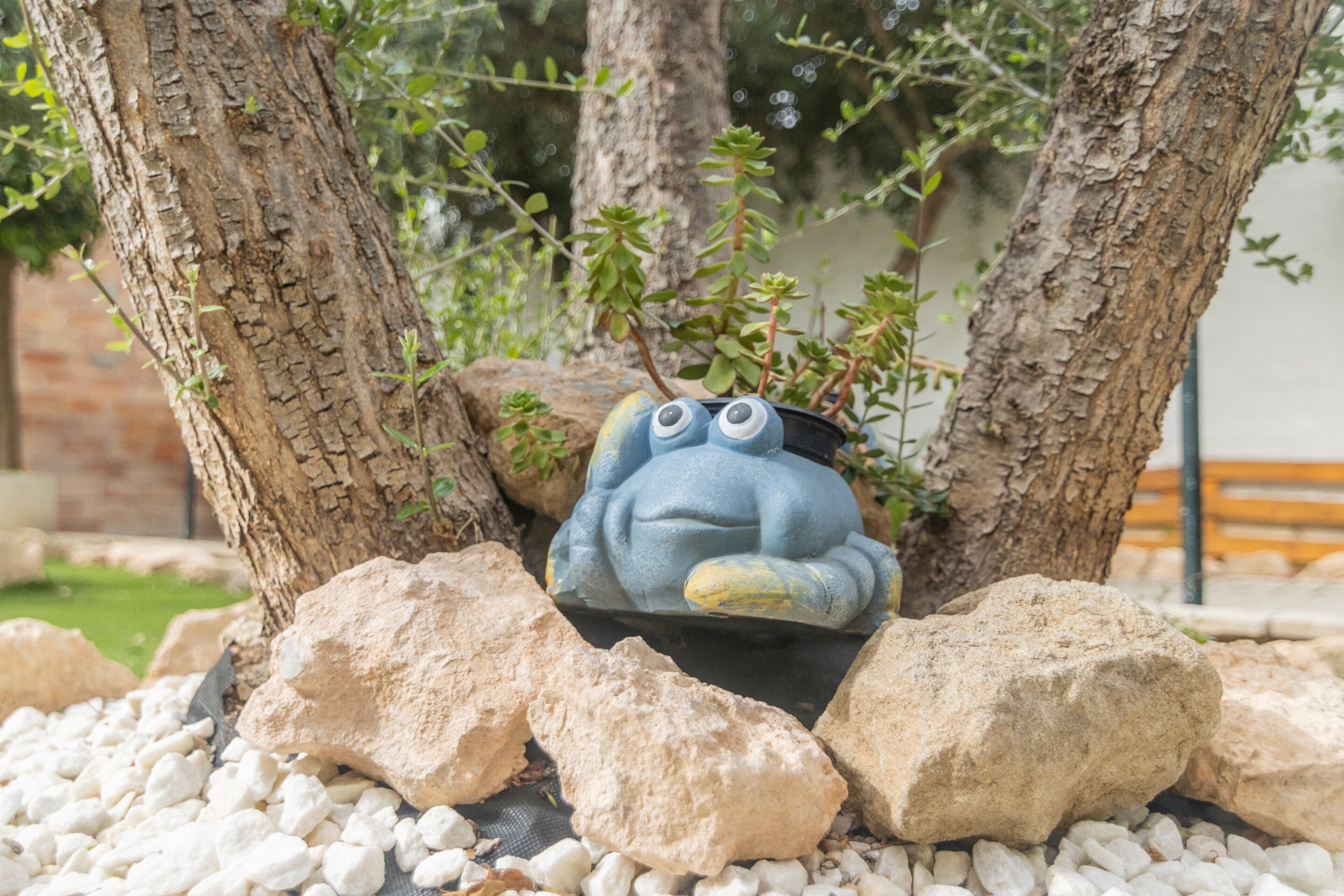 Un jardín con una estatua de rana, rocas y árboles.