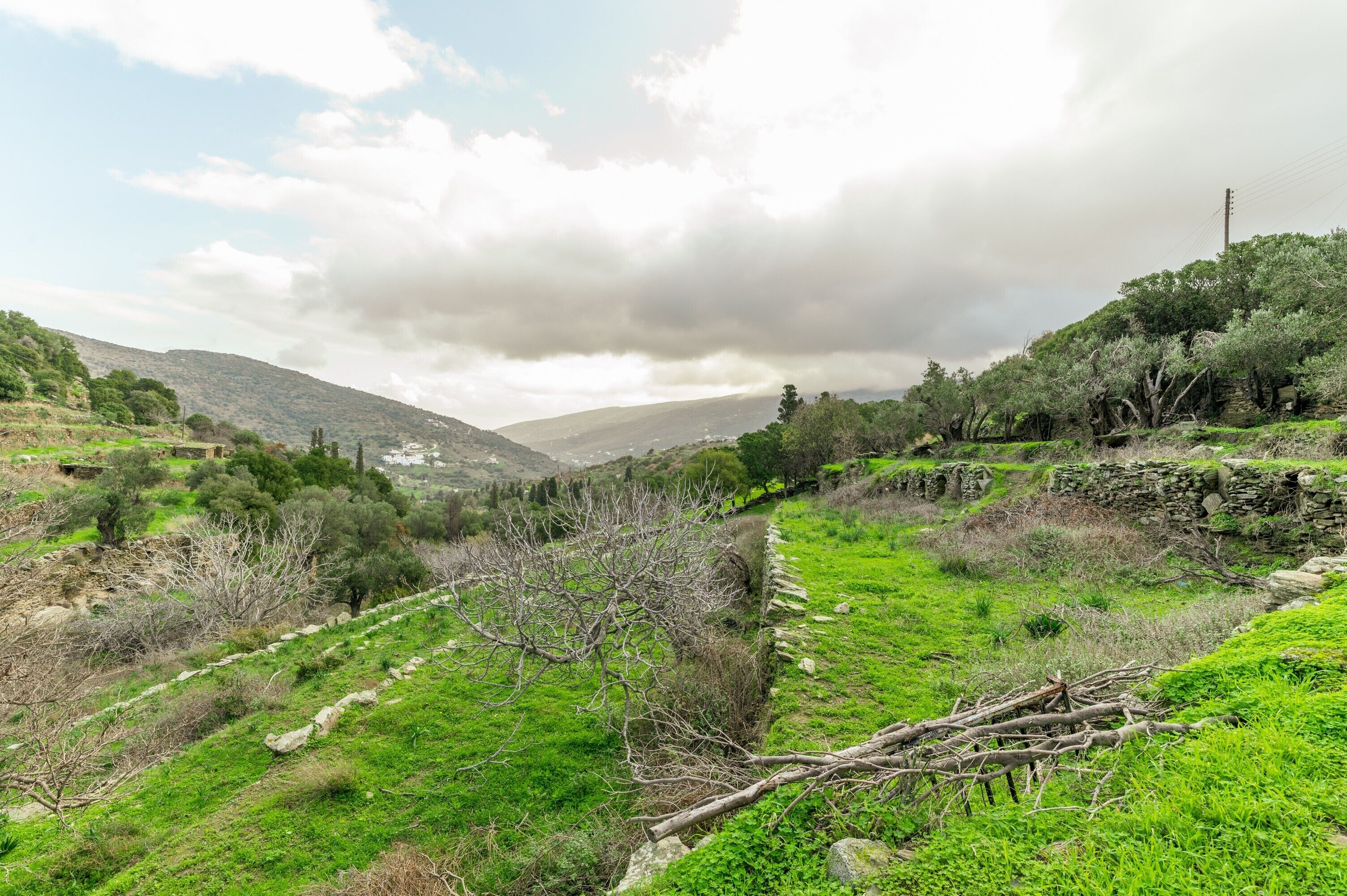 A rural landscape with a stone wall, green fields, and a mountain in the background.