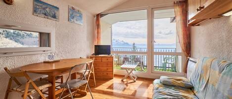 تلفزيون، مشغل دي في دي