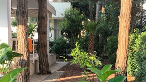 A garden area with trees, a pathway, and a building in the background. - Villa Dyrrahu (Golem)