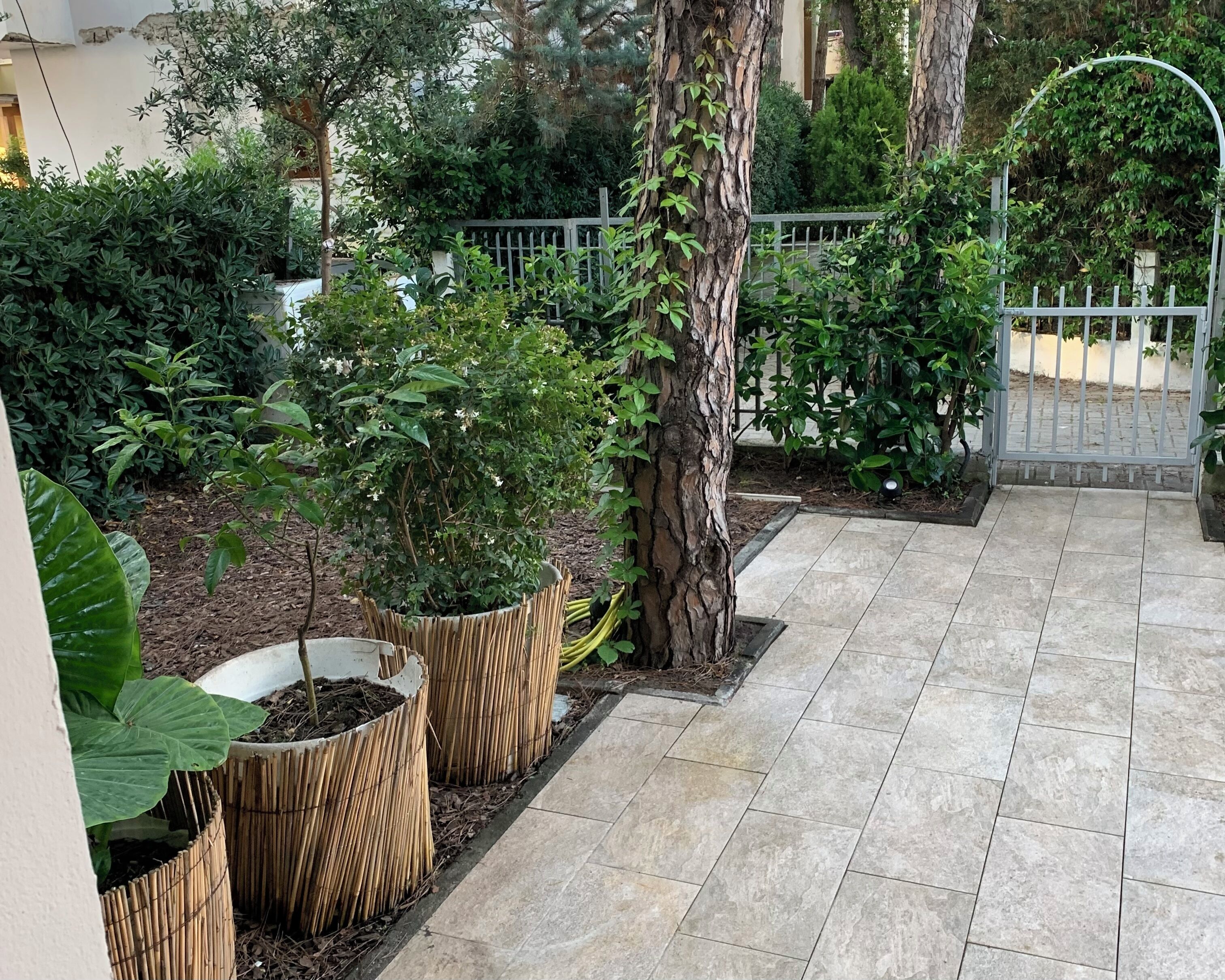 Jardines del alojamiento