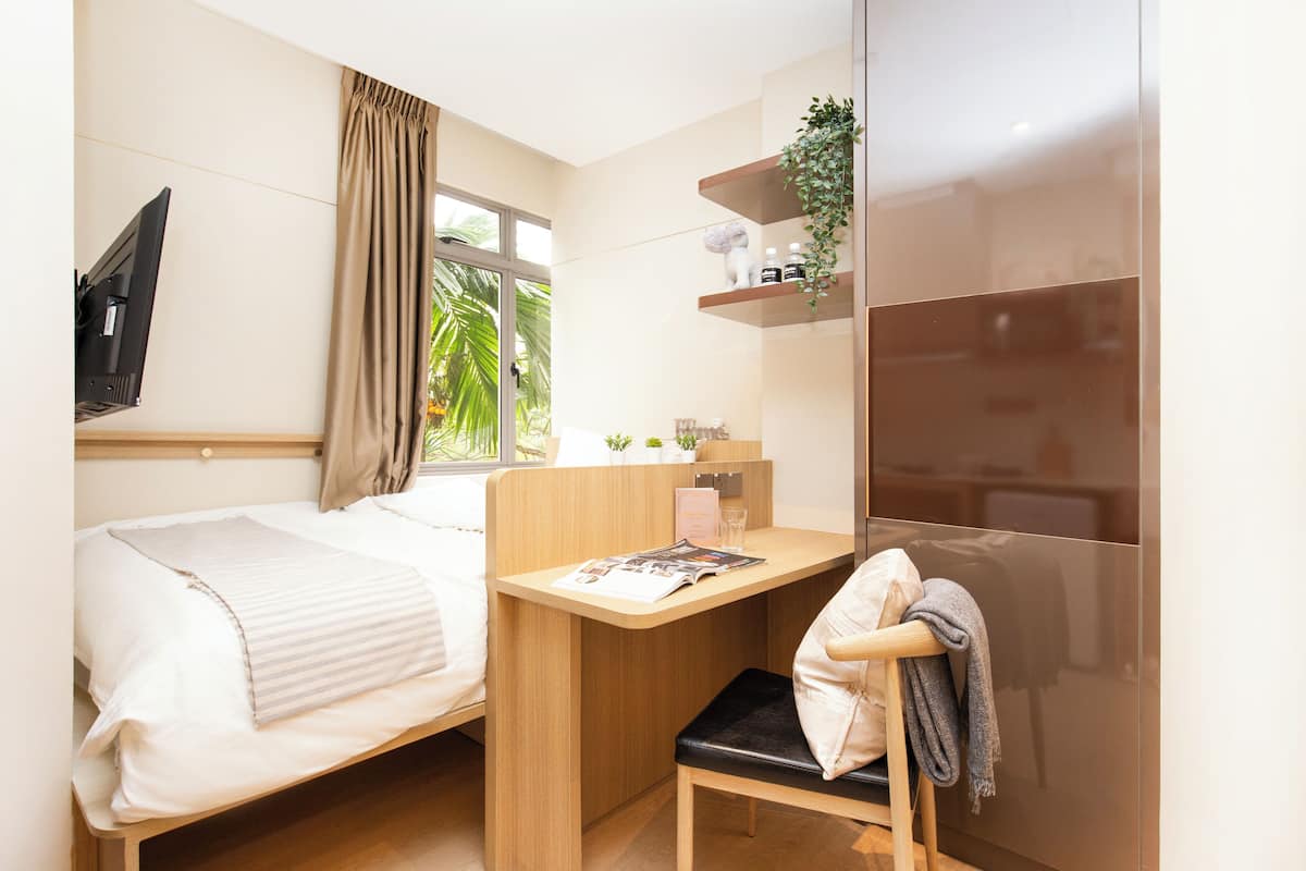 A modern hotel room with a bed, a desk, and a chair. There is a window with curtains, a plant on a shelf, and a flat-screen TV mounted on the wall.