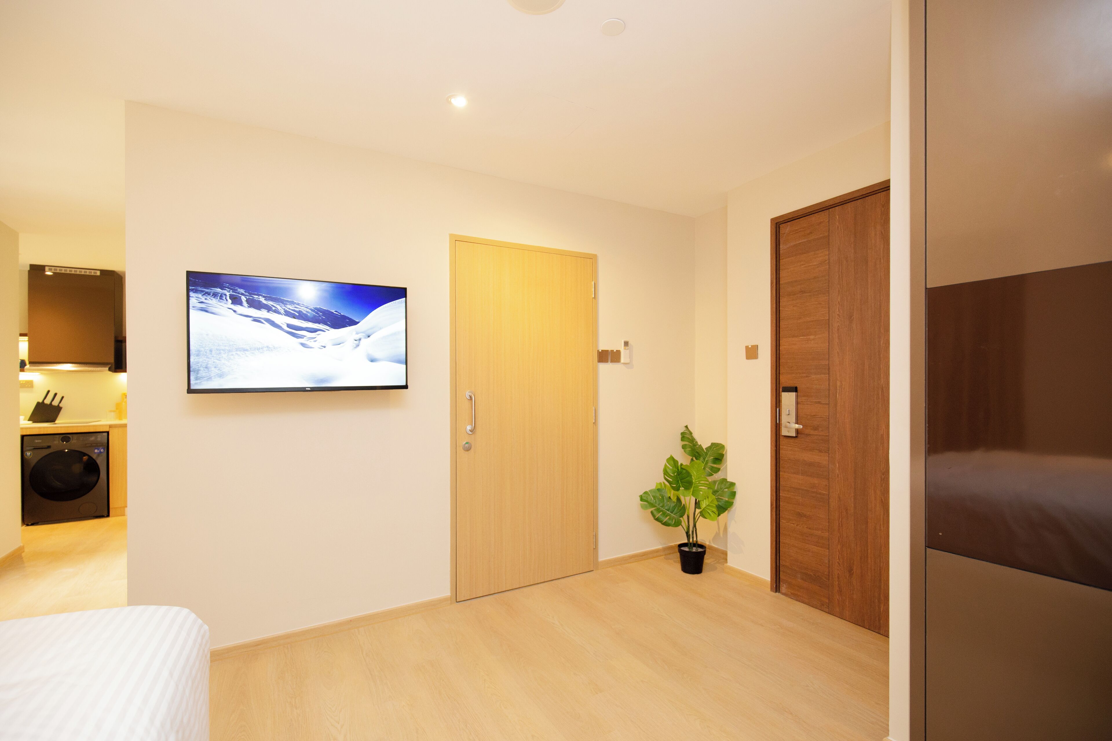 A modern hotel room with a large flat-screen TV mounted on the wall, a wooden door, a potted plant, and a bed.