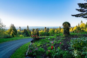 A garden with a gravel path, various plants, and a view of distant trees and hills.