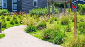 A pathway leading to a house with a garden. - Park-side family retreat with private backyard (University Heights)