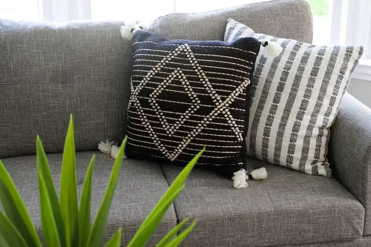 A grey sofa with two decorative pillows, one with a geometric pattern and the other striped, and a green plant in the foreground.