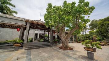 A traditional building with a tiled entrance, a central tree, and potted plants.