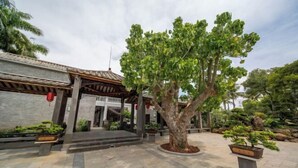 A traditional building with a tiled roof and a large tree in the center. - Longquan Xiangyuan Shared Farm (Wenchang)