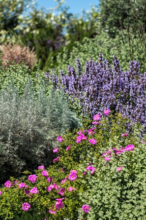 Escape to a serene garden oasis with lush greenery and vibrant blooms.