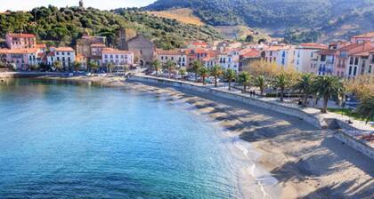 Sea-facing T2 apartment in Canet-en-Roussillon