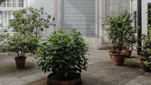 Une cour avec des plantes en pot, une porte à volet roulant fermée et un balcon doté d’une rambarde en métal.