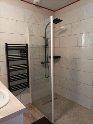 Shower, towels, toilet paper